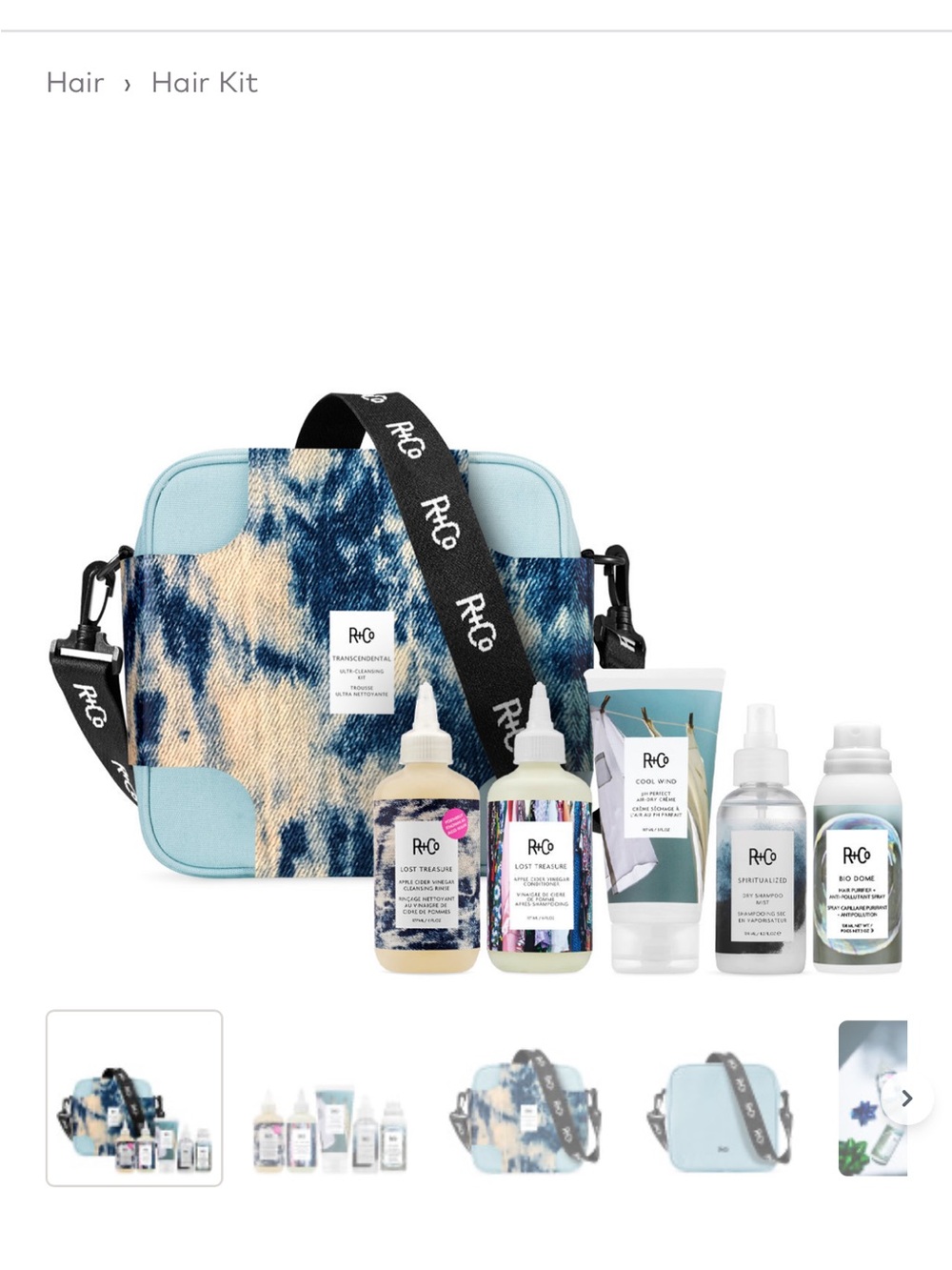 R+Co hair care kit n carry bag